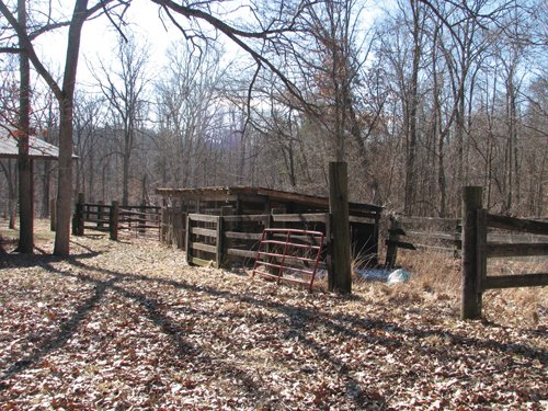 Property photo 29 - 97.5 Acres - Executive Home and Secluded Retreat